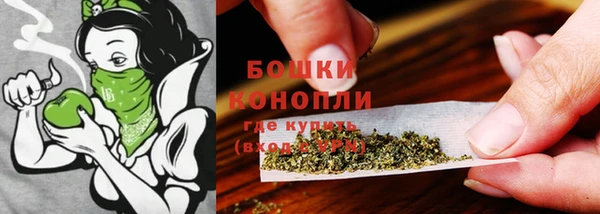 стафф Верхний Тагил