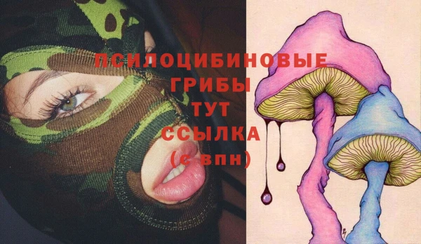 стафф Верхний Тагил