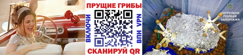 Галлюциногенные грибы ЛСД  купить   Архангельск 